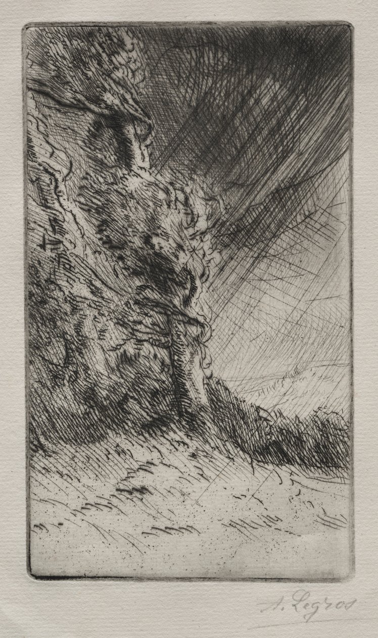 Una ráfaga de viento de Alphonse Legros