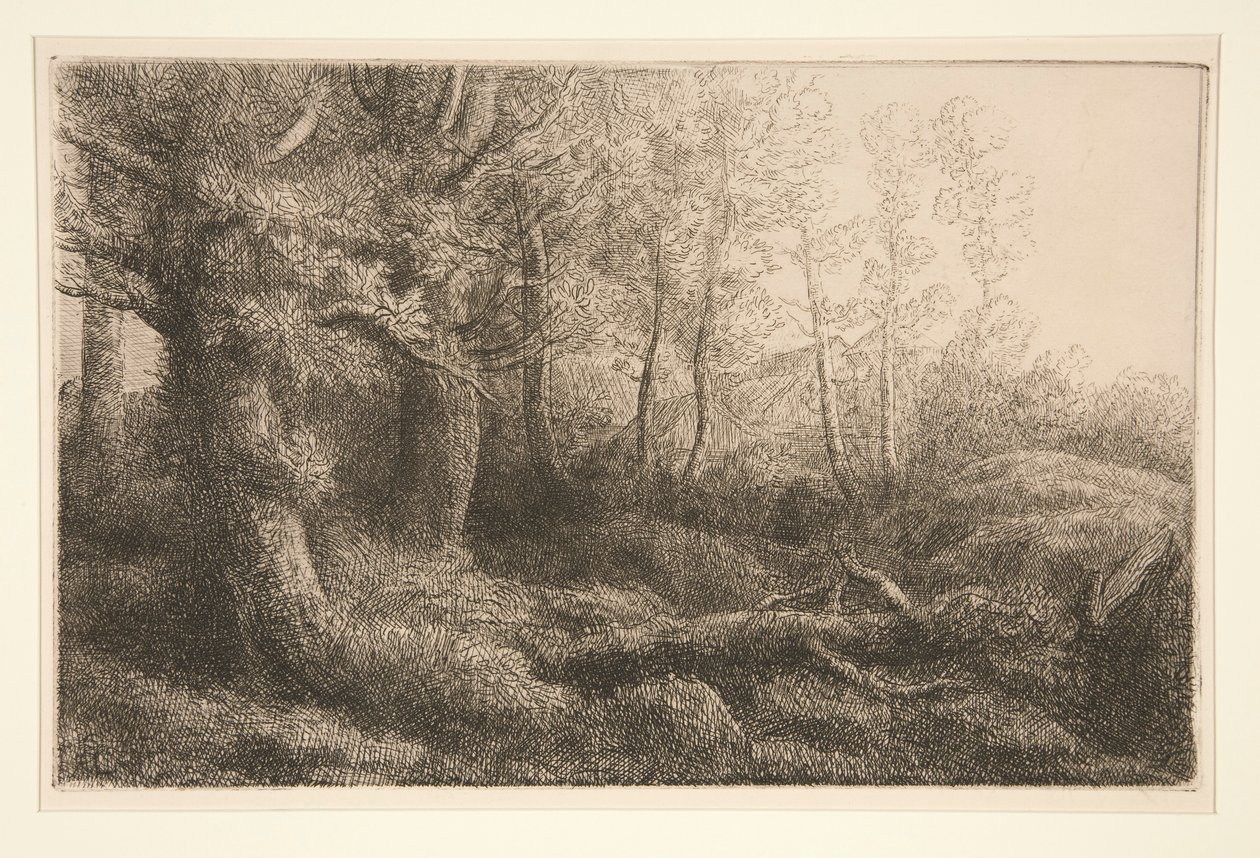 Un estudio de bosques de Alphonse Legros