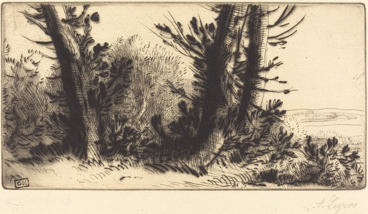 A través del campo de Alphonse Legros