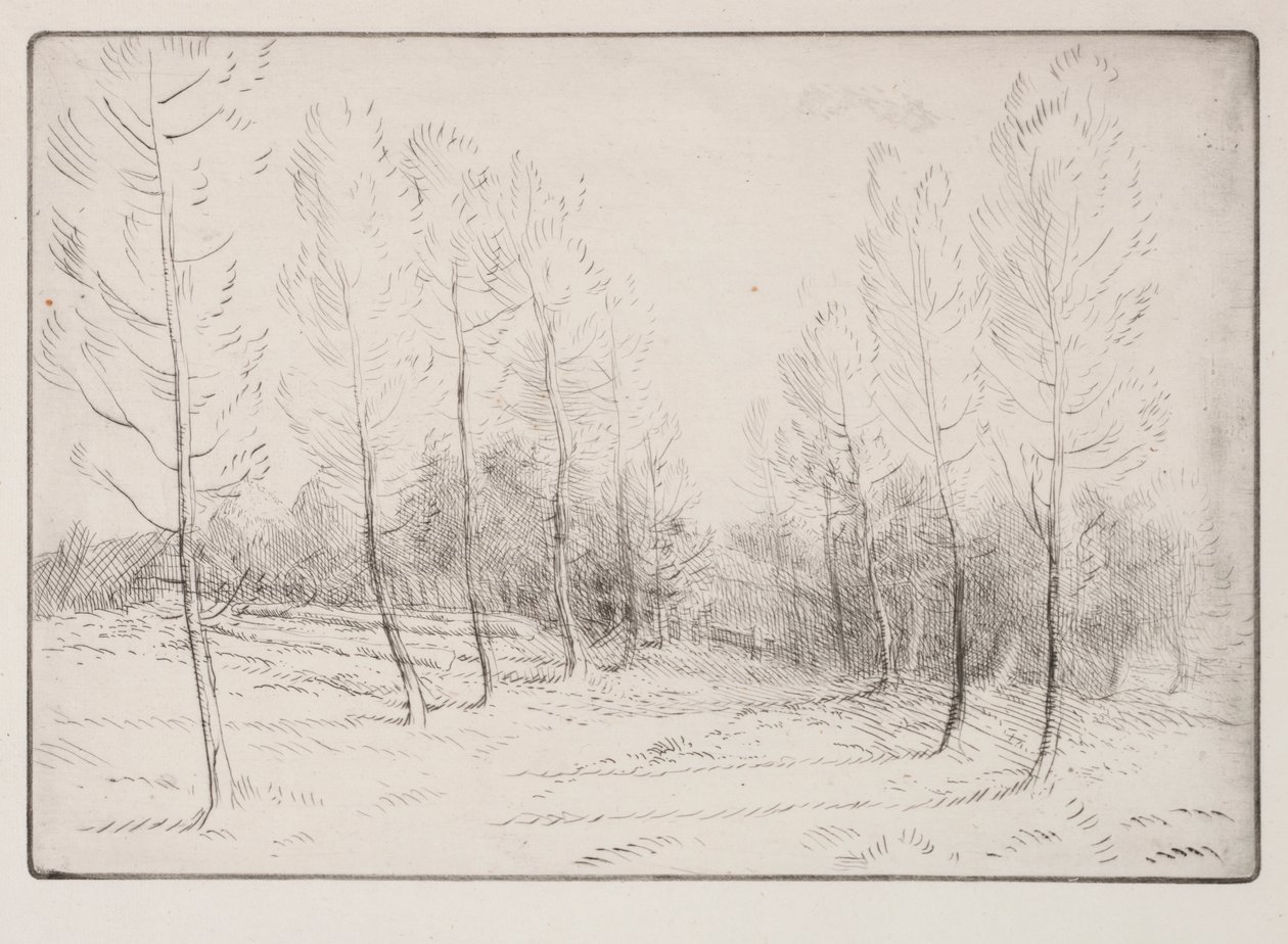 Avenue of Poplars de Alphonse Legros