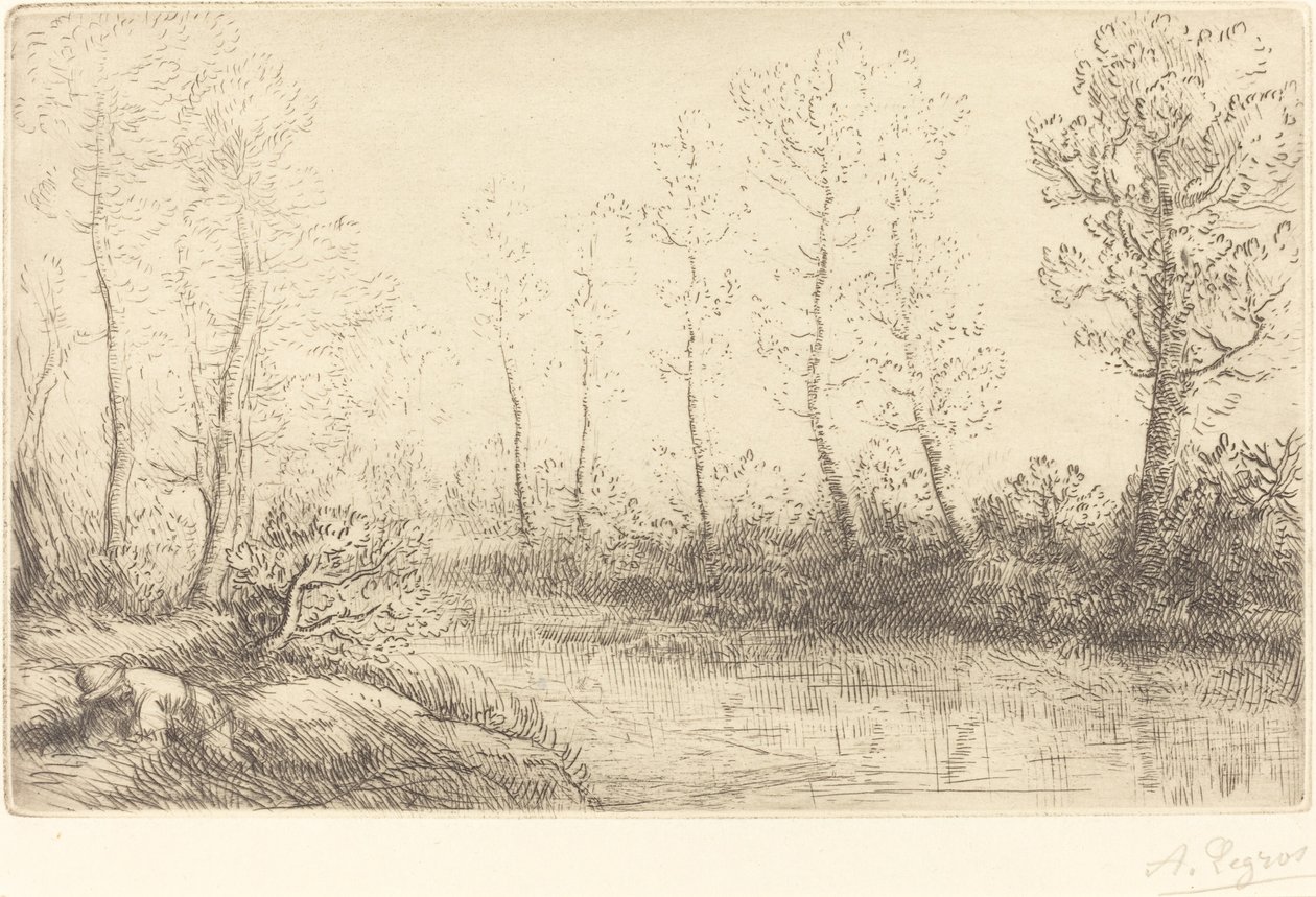 Árboles de abedul: Borde del agua visto a la luz de la mañana de Alphonse Legros