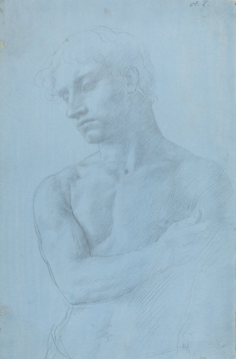 Busto de hombre desnudo de Alphonse Legros