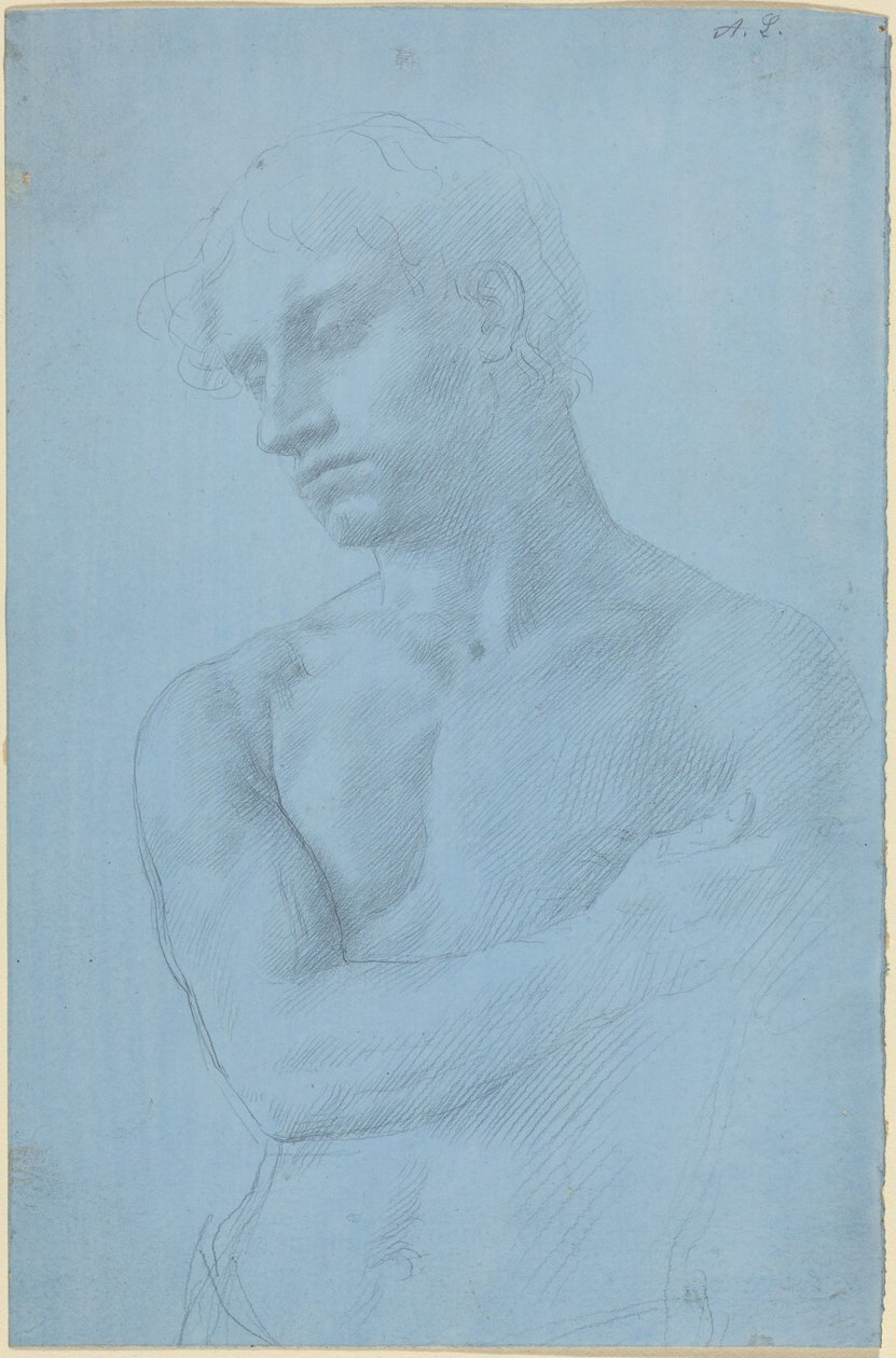 Busto de un hombre desnudo de Alphonse Legros