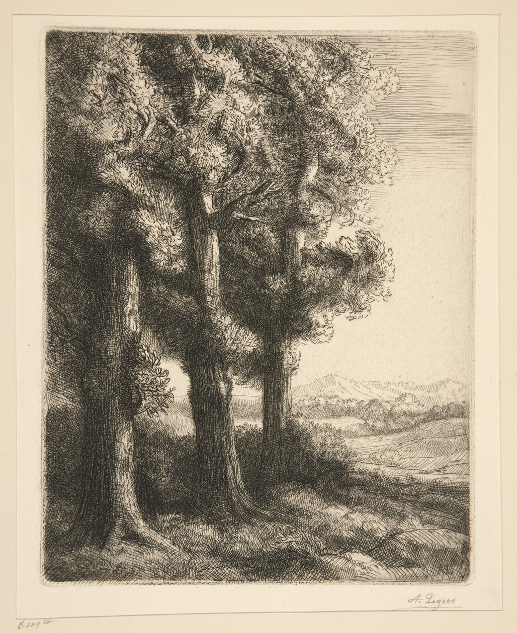 Un rincón de un bosque de Alphonse Legros