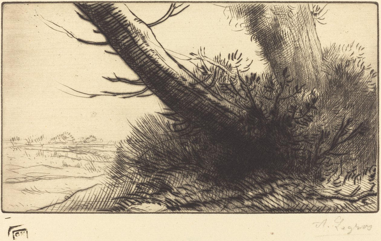 Esquina de un camino de Alphonse Legros