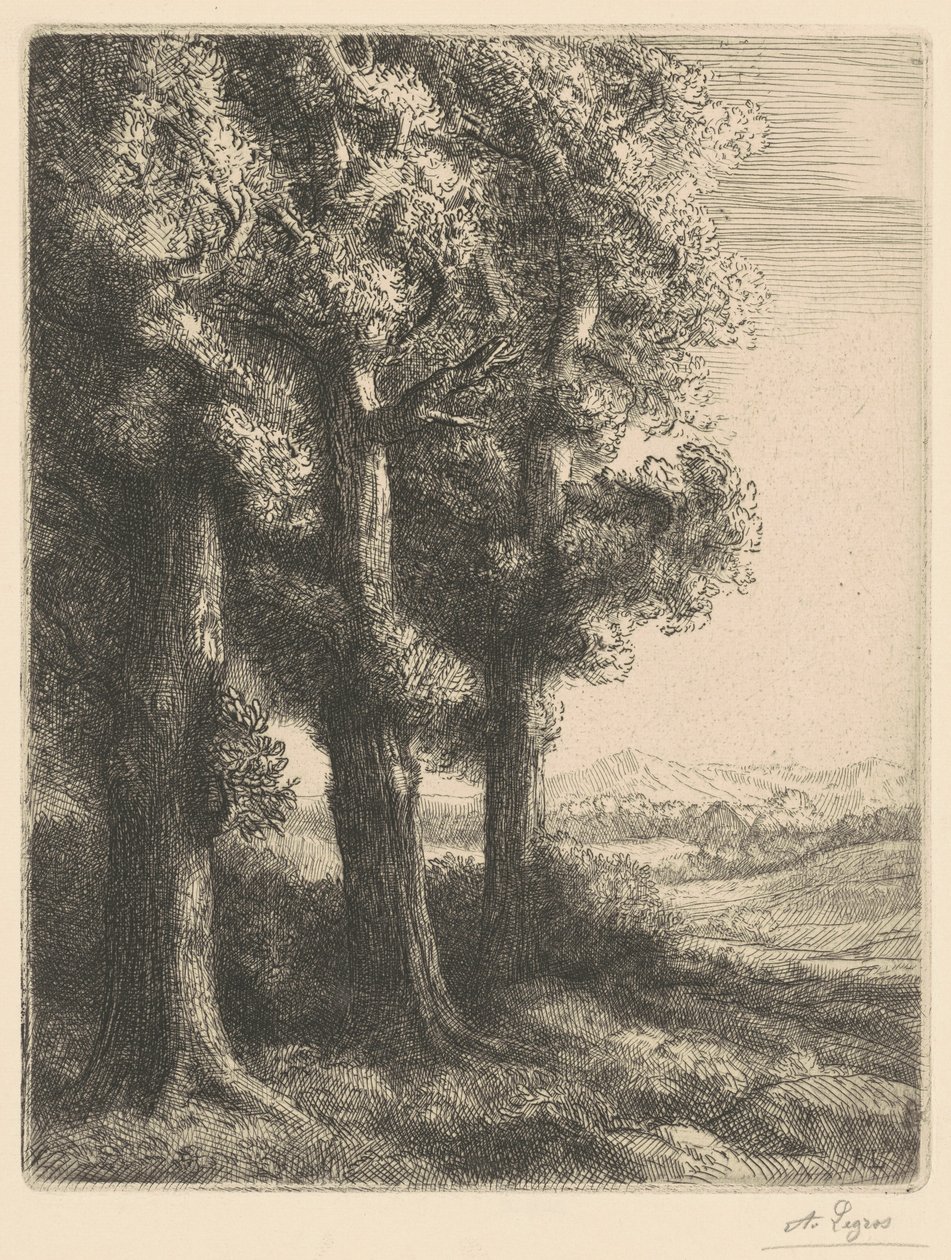 Corner of a Wood (Un rincón del bosque) de Alphonse Legros