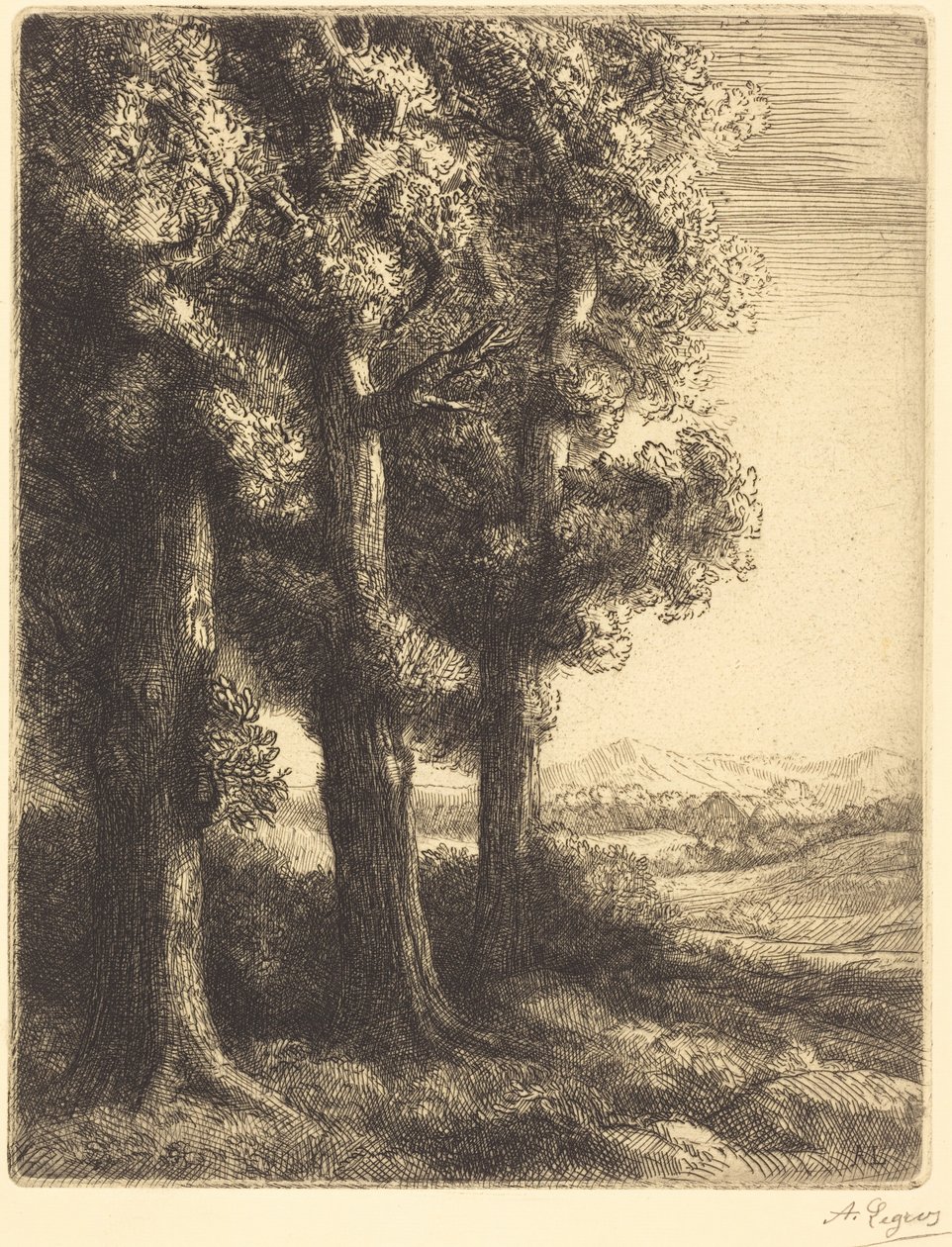 Corner of a Wood (Un rincón del bosque) de Alphonse Legros