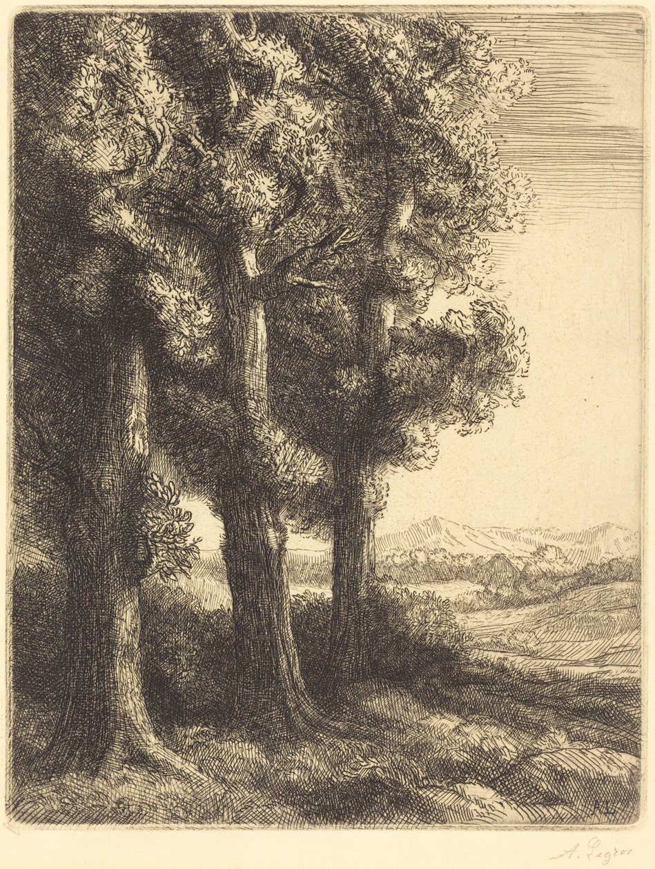 Corner of a Wood (Un rincón del bosque) de Alphonse Legros