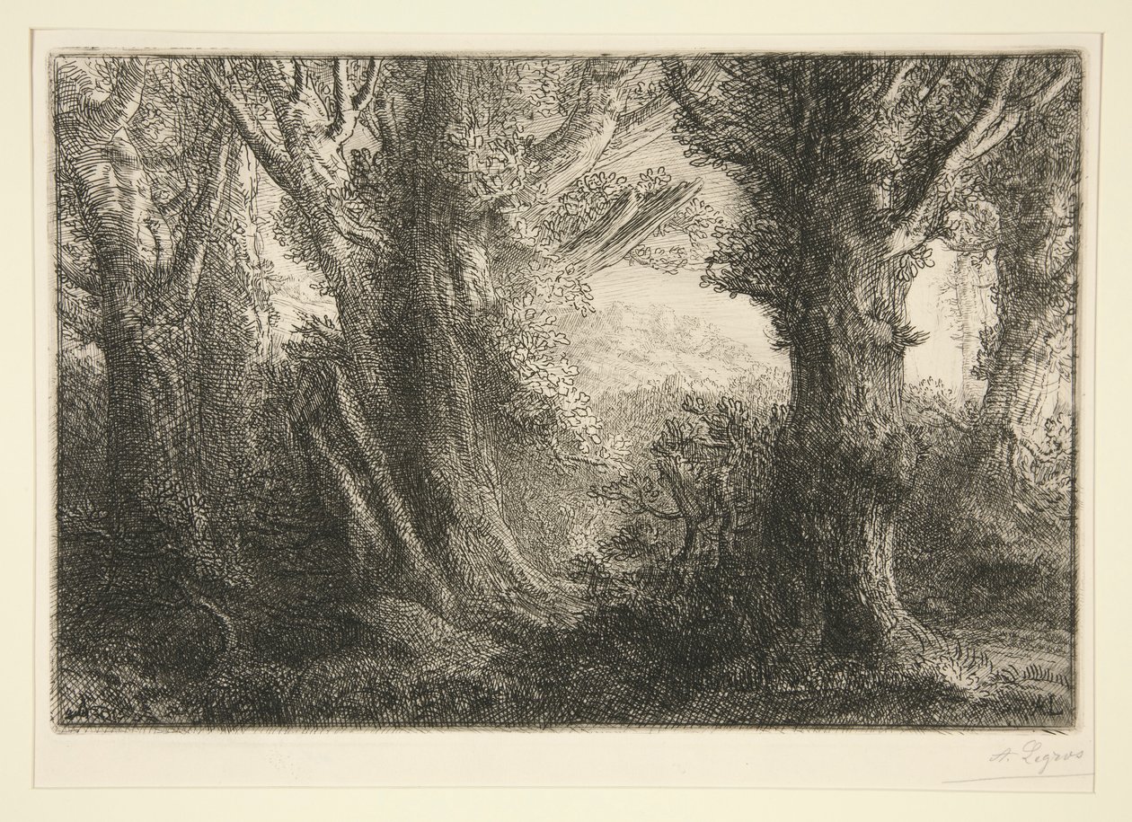 Dans la foret de Conteville (En el bosque de Conteville) de Alphonse Legros