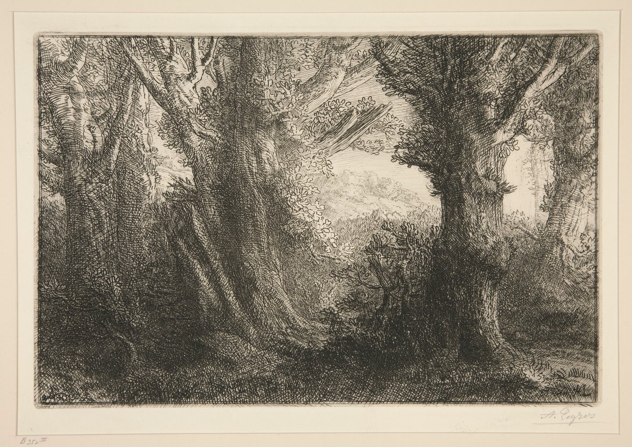 Dans la foret de Conteville (En el bosque de Conteville0 de Alphonse Legros