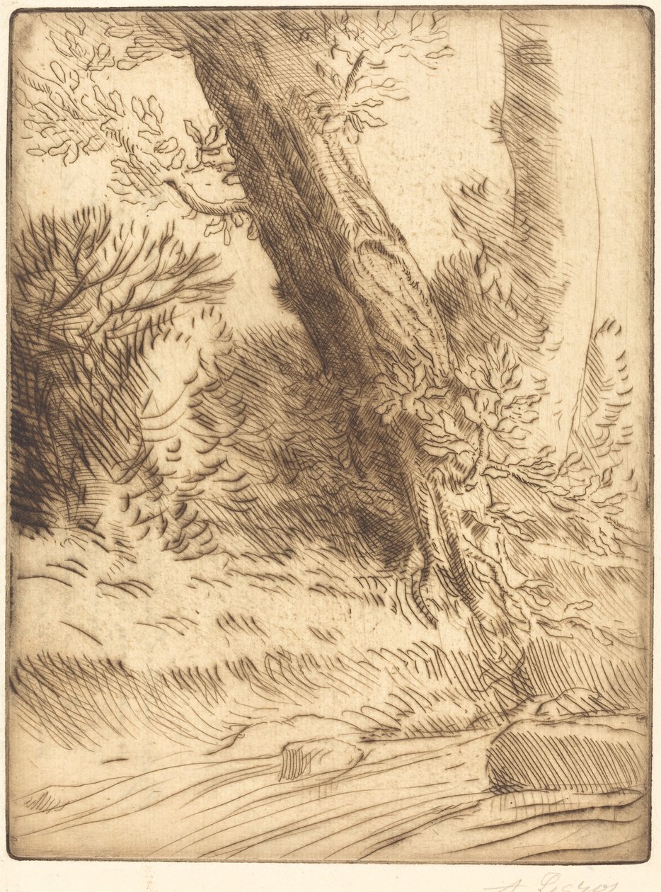 Borde de un arroyo de Alphonse Legros