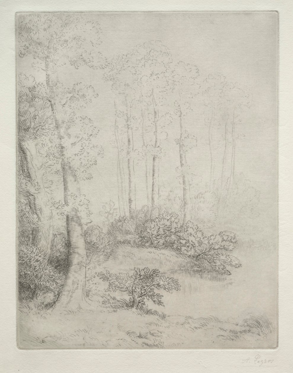 Al borde del agua de Alphonse Legros