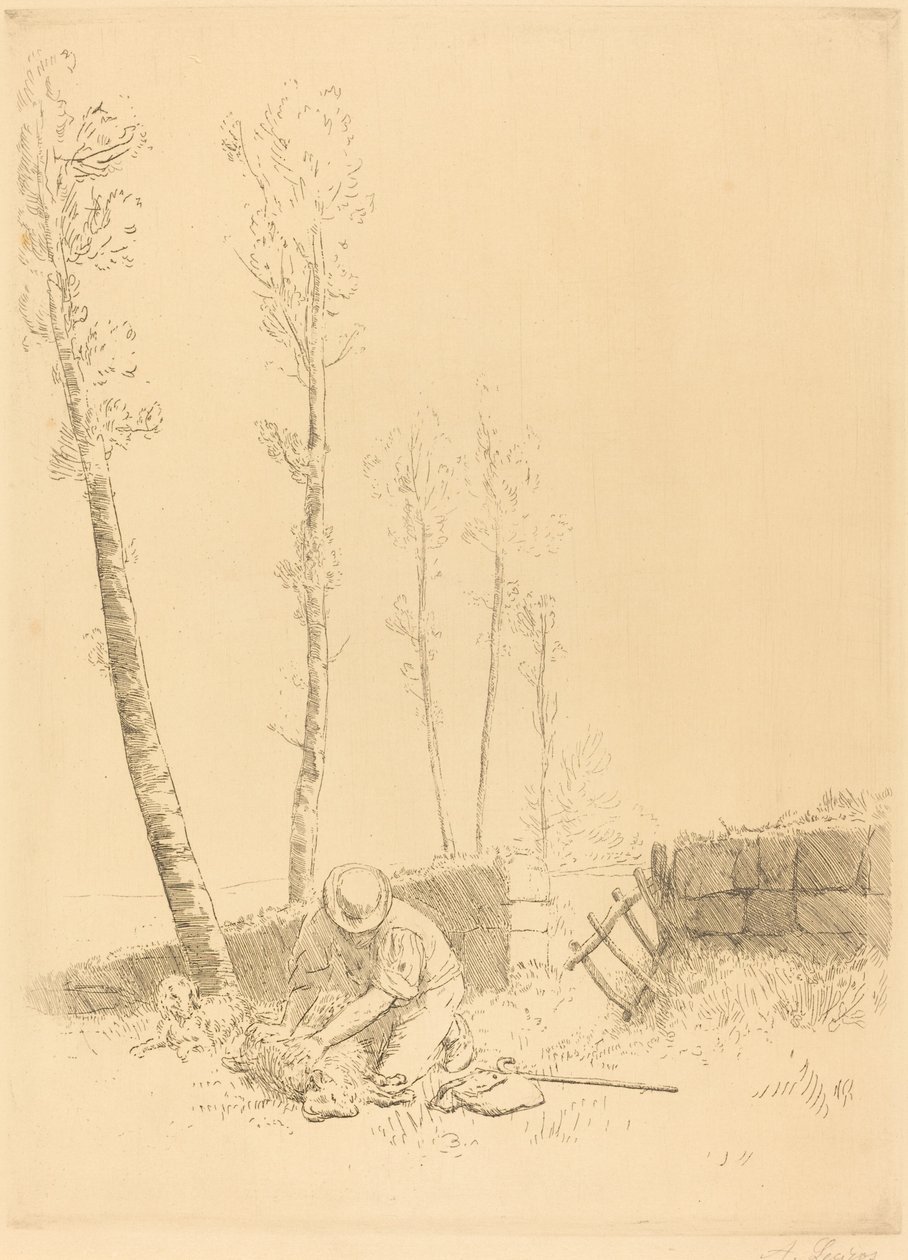 Encontrando la oveja de Alphonse Legros