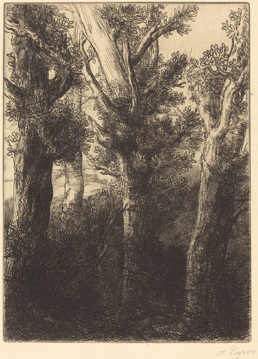 Bosque alemán, Downley de Alphonse Legros