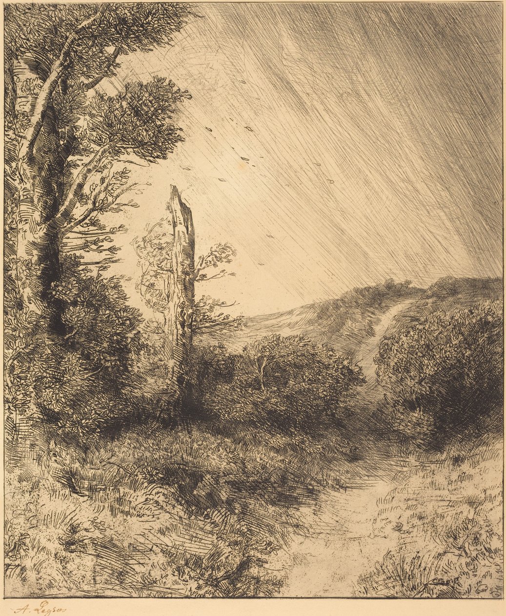 Ráfaga de viento (Le coup de vent) de Alphonse Legros