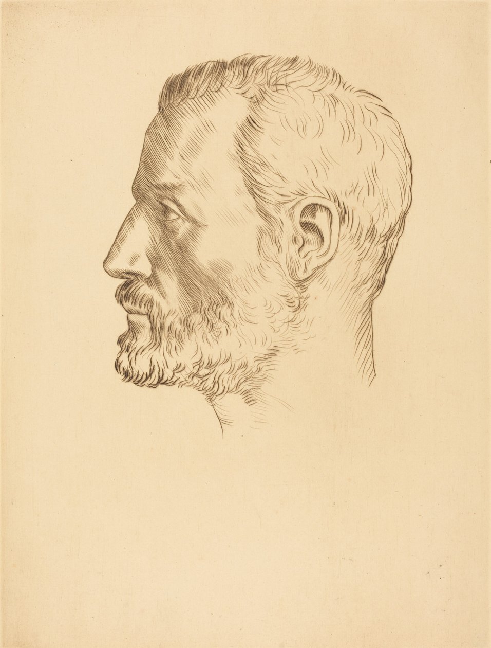 Cabeza de hombre (Tête d