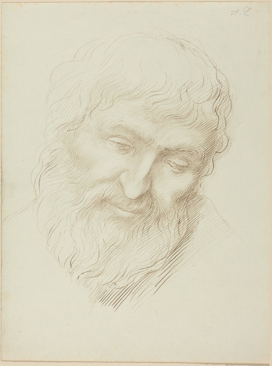 Cabeza de un hombre de Alphonse Legros
