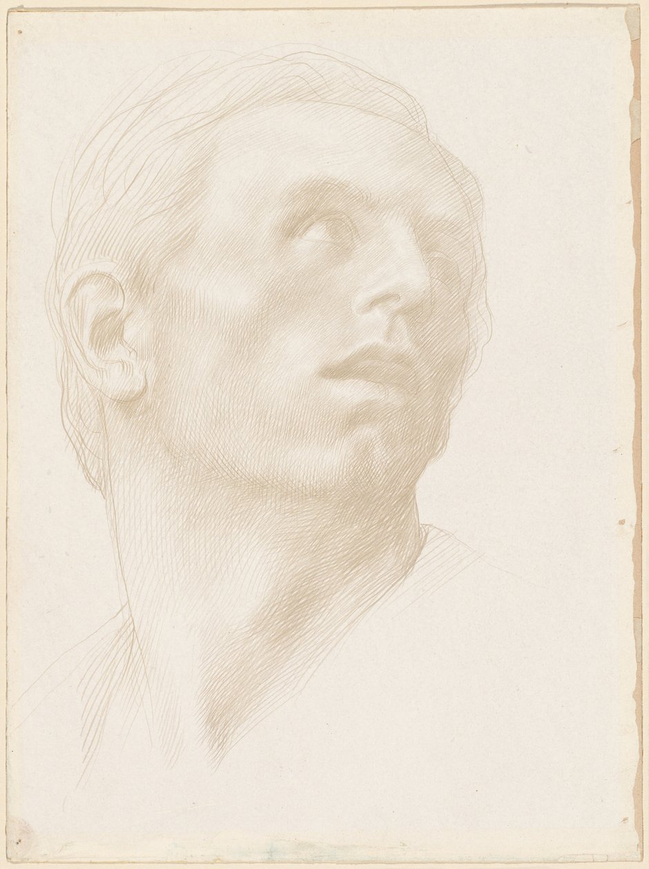 Cabeza de un Hombre Mirando hacia Arriba a la Derecha, 1890s de Alphonse Legros