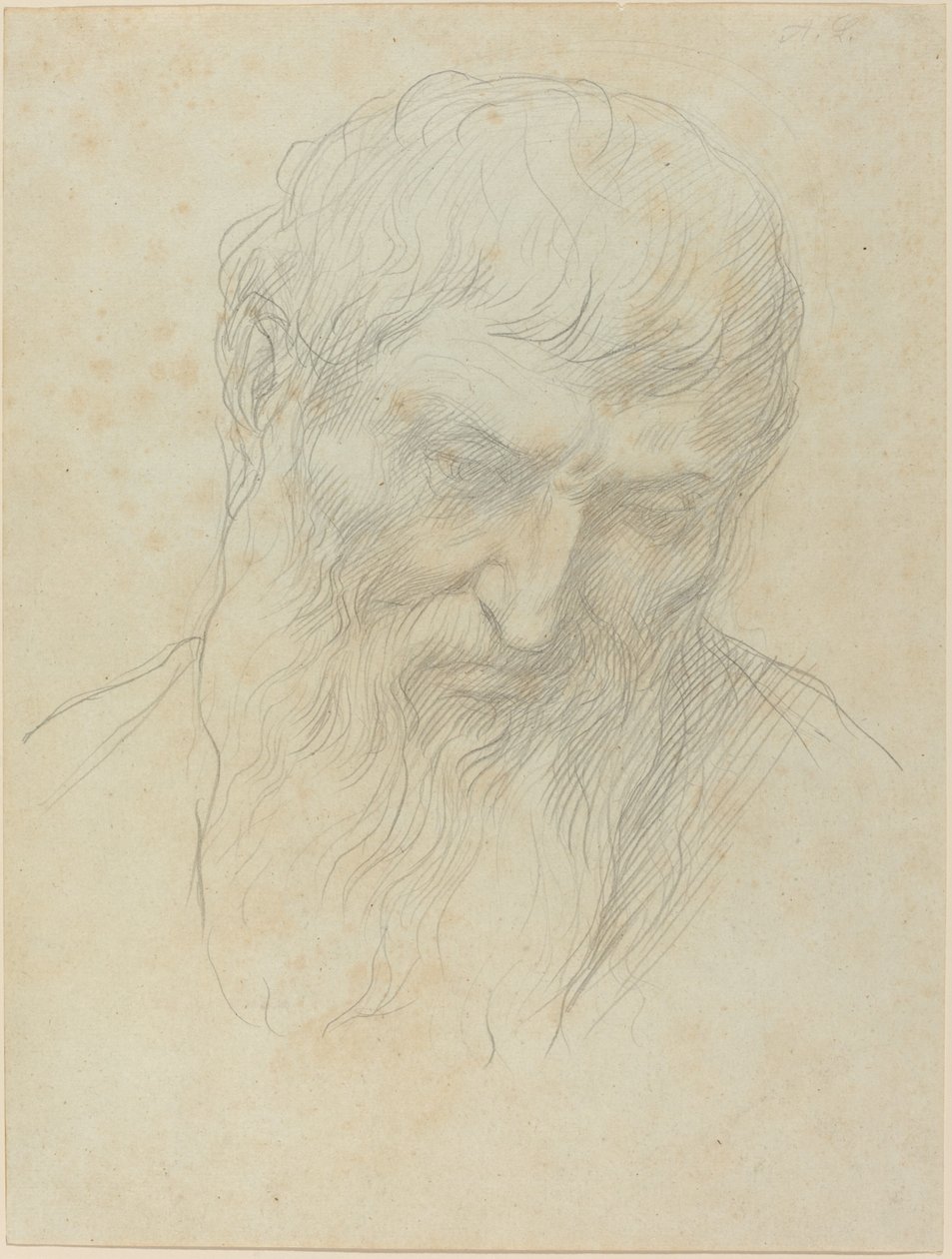 Cabeza de un Hombre con Cabello Rizado y Barba de Alphonse Legros