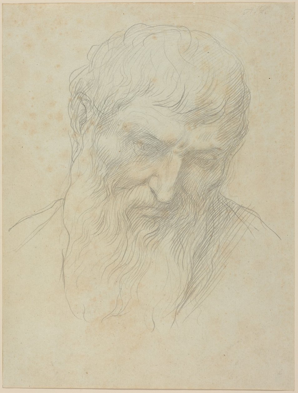 Cabeza de un hombre con cabello rizado y barba de Alphonse Legros