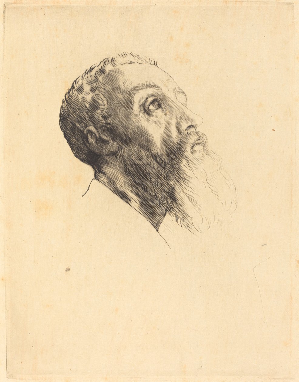 Cabeza de un modelo Tête de modèle de Alphonse Legros