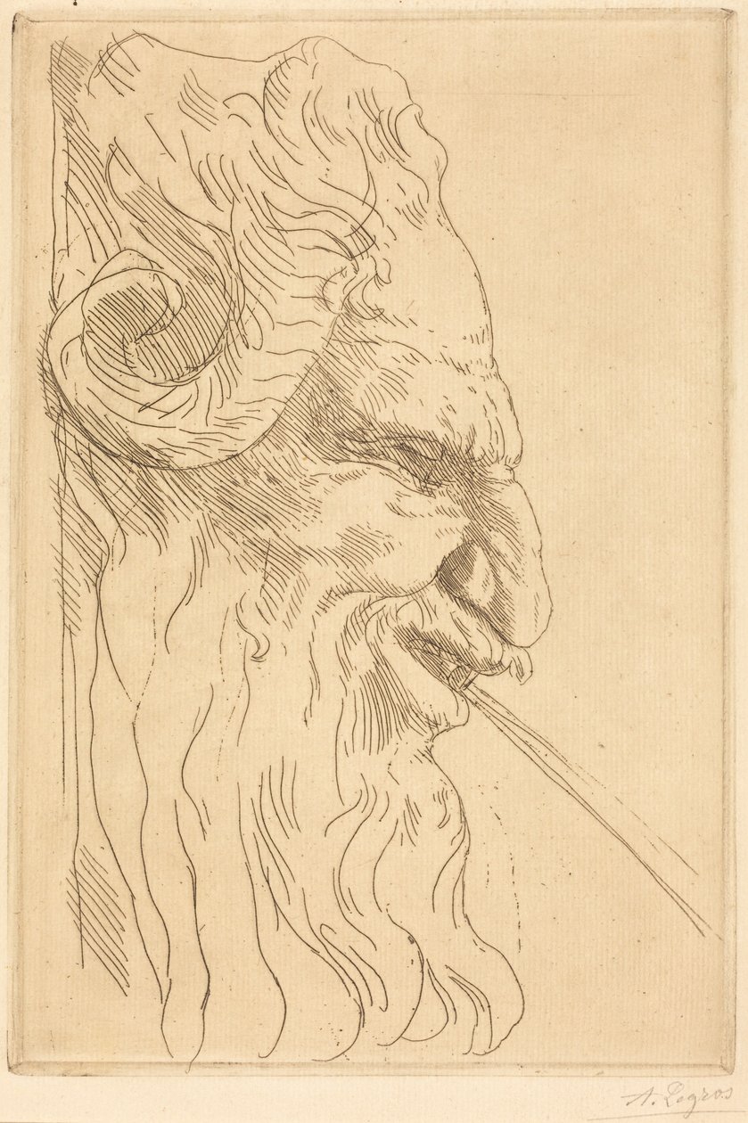 Cabeza de sátiro de Alphonse Legros