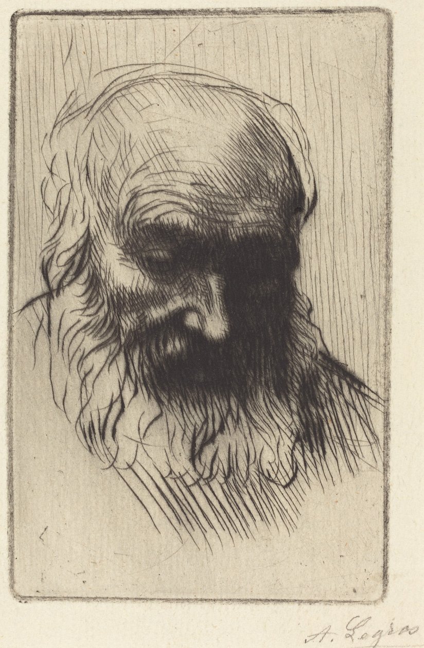 Cabeza de un anciano (Etude de tête) de Alphonse Legros