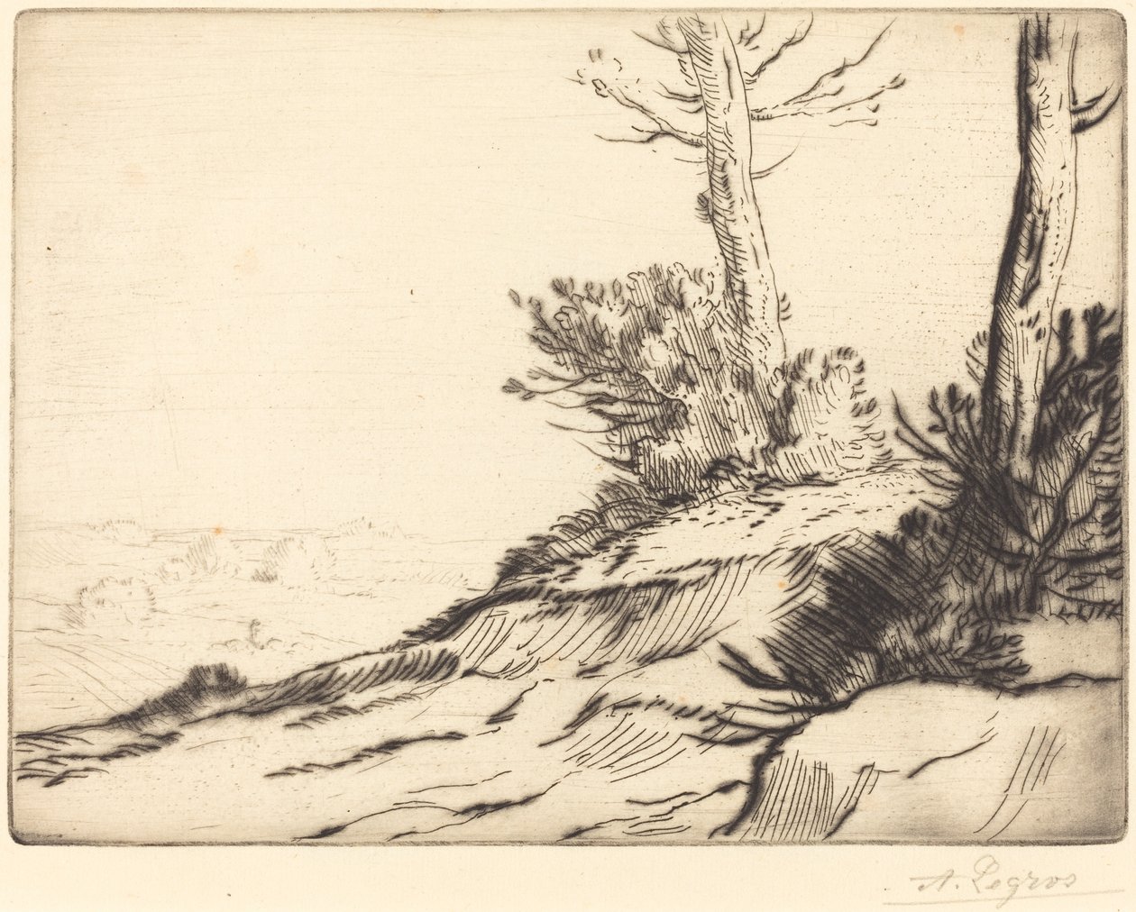 Colina con arbustos de Alphonse Legros
