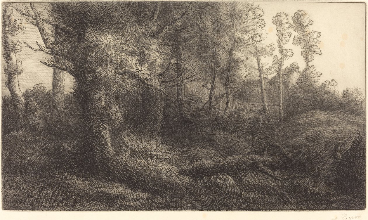 En el Bosque de Alphonse Legros