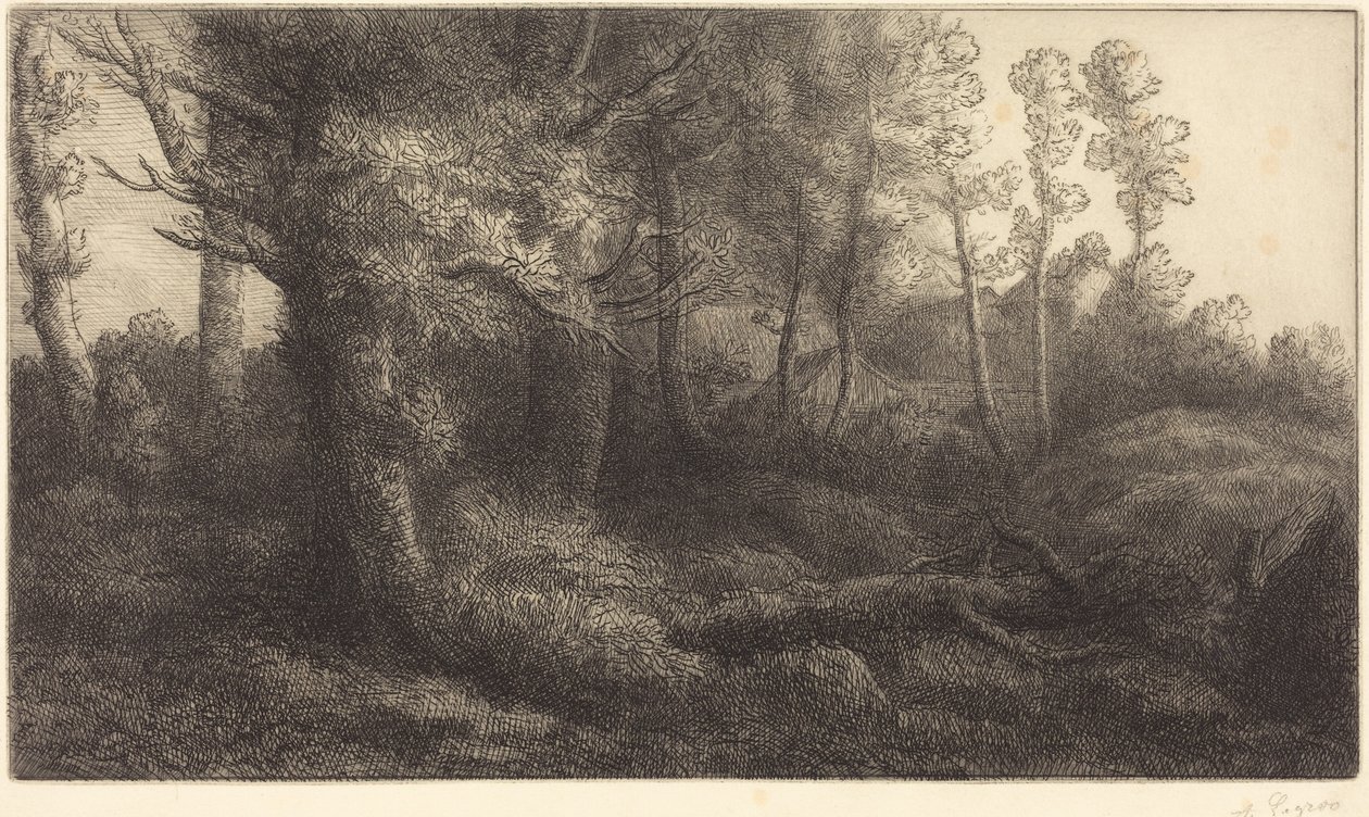 En el bosque (Lisière de forêt) de Alphonse Legros