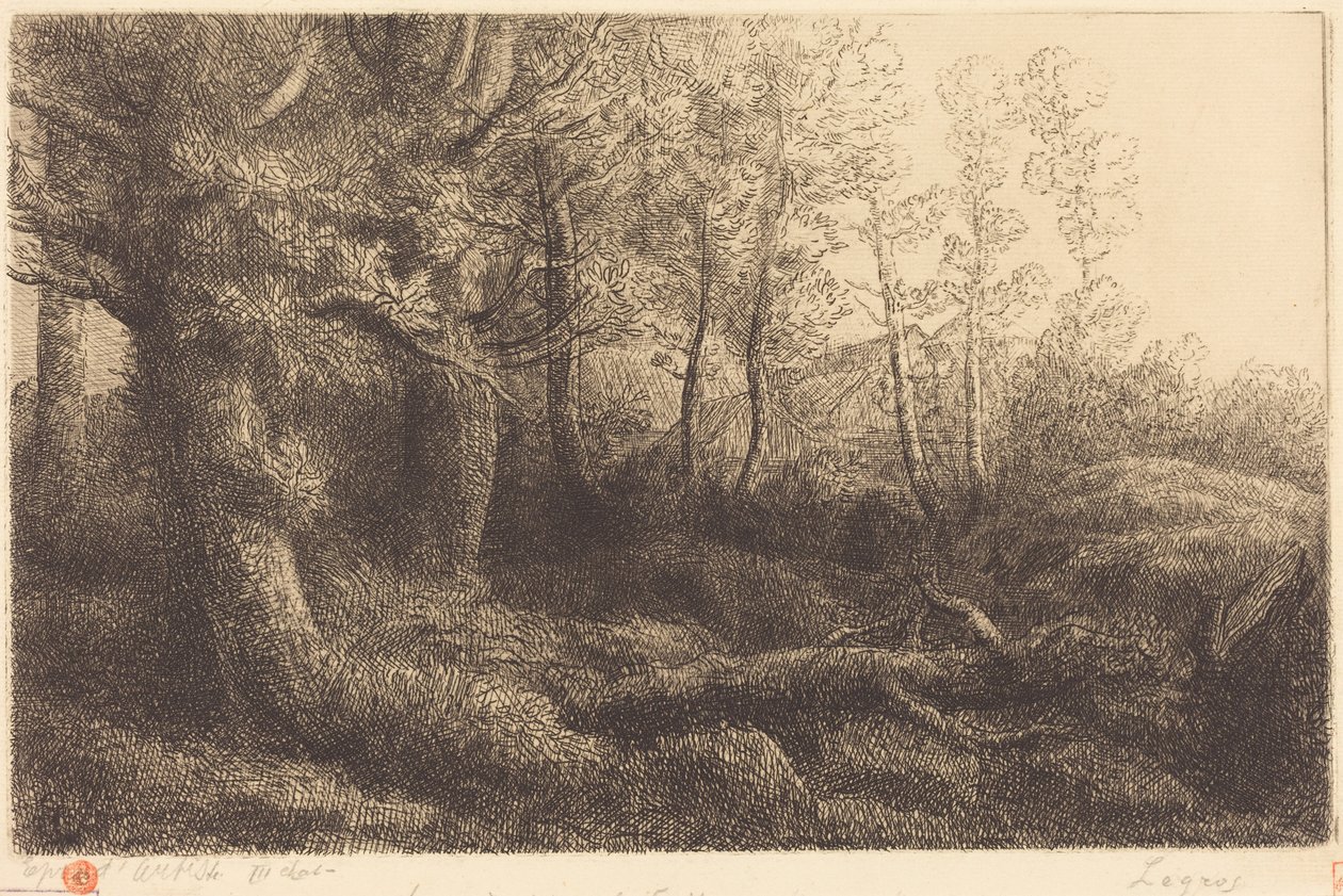 En el bosque (Lisière de forêt) de Alphonse Legros