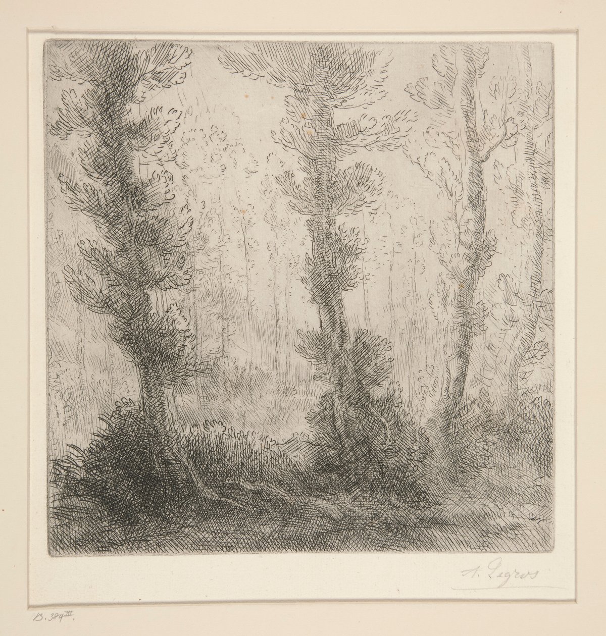 el pequeño lago de Alphonse Legros