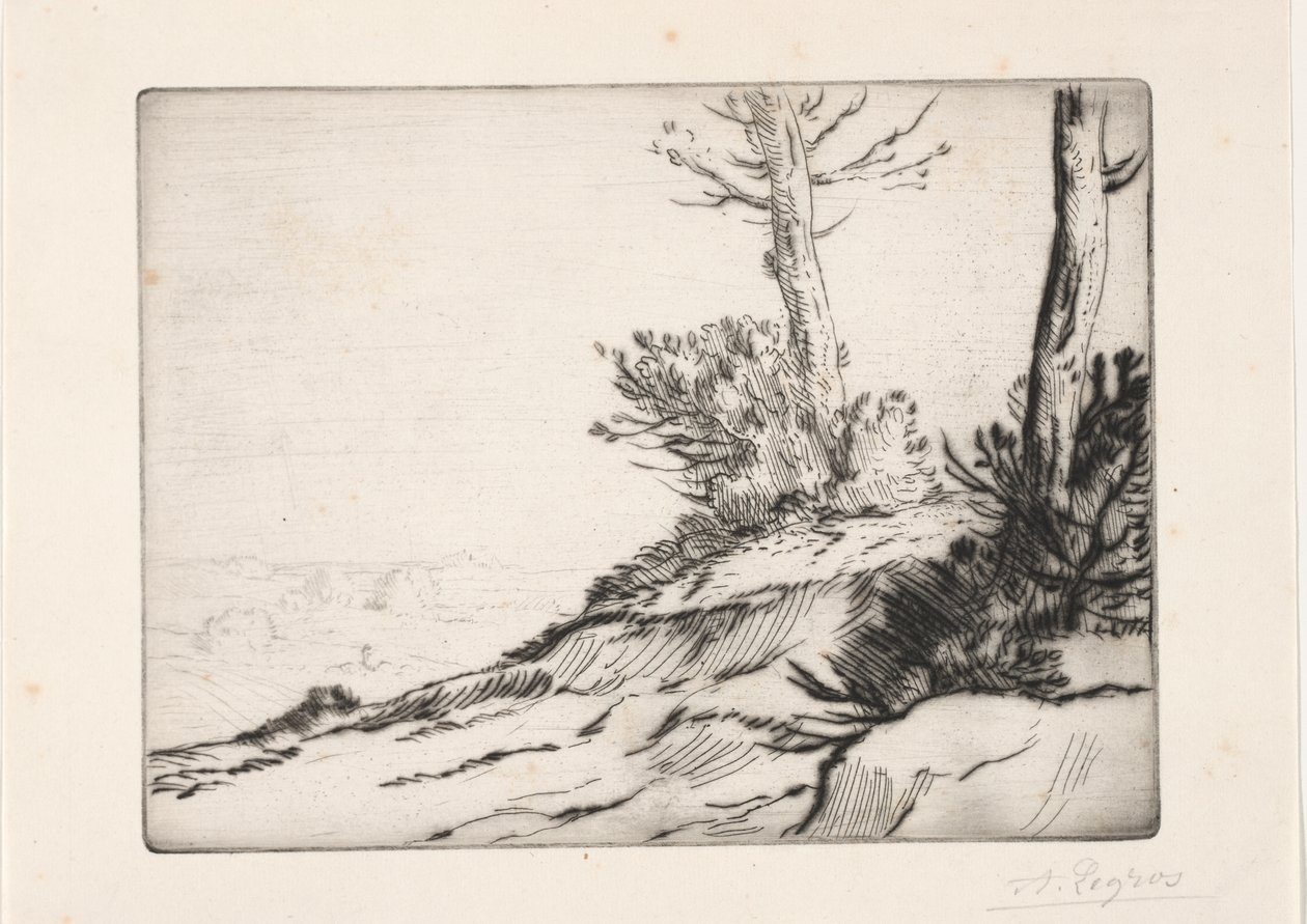 La colina de los matorrales de Alphonse Legros