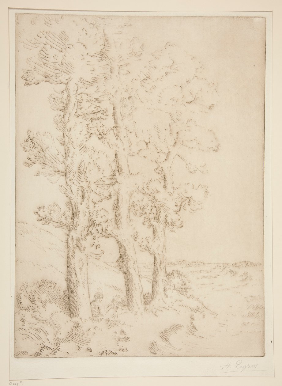 Mujer leyendo: Lección bajo los árboles de Alphonse Legros