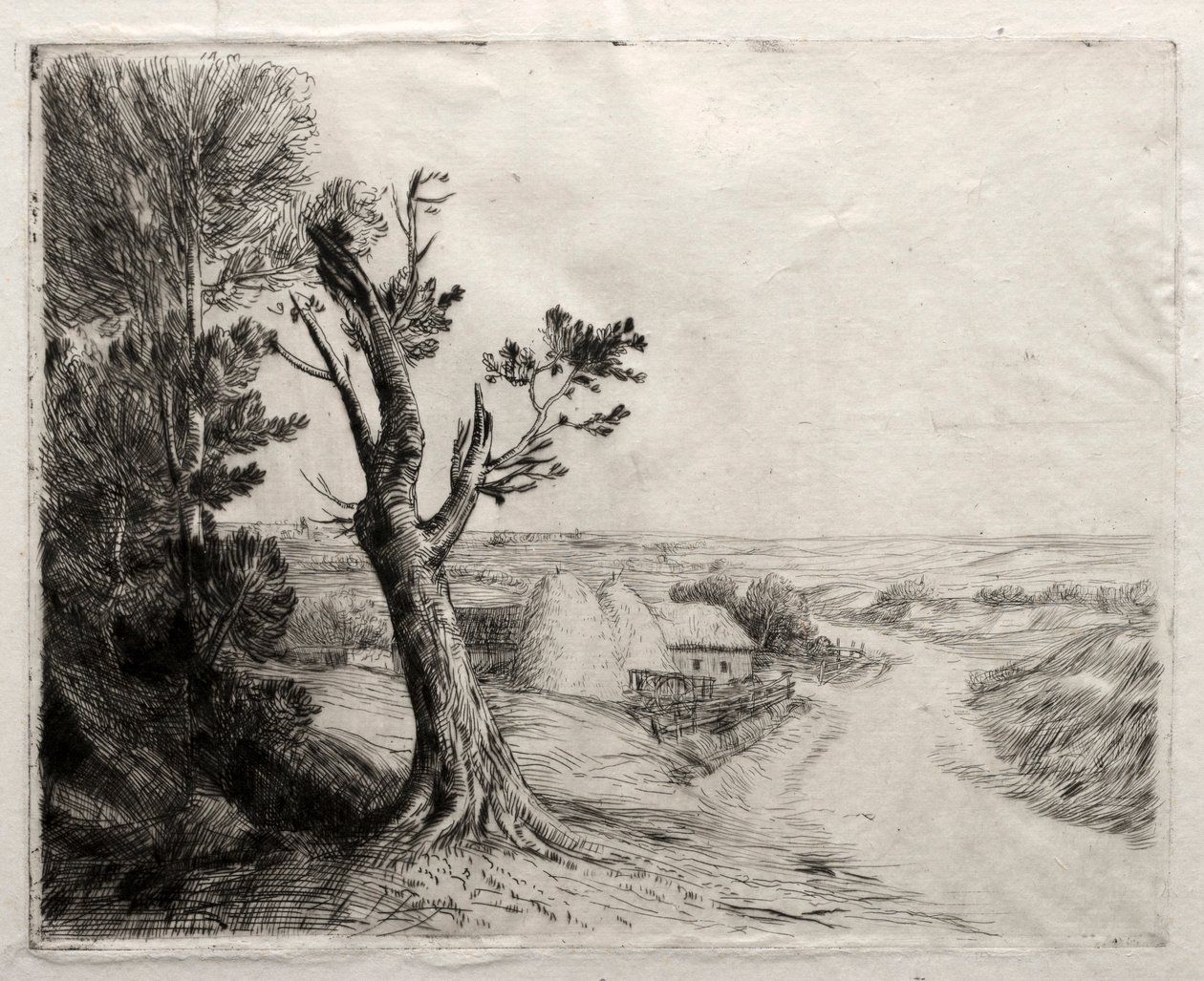Paisaje con Pajares de Alphonse Legros