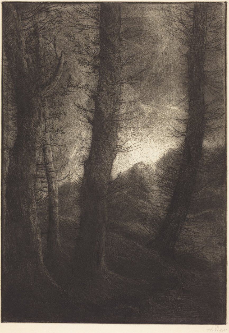Árboles altos a contraluz  (Los árboles altos: Efecto del atardecer) de Alphonse Legros