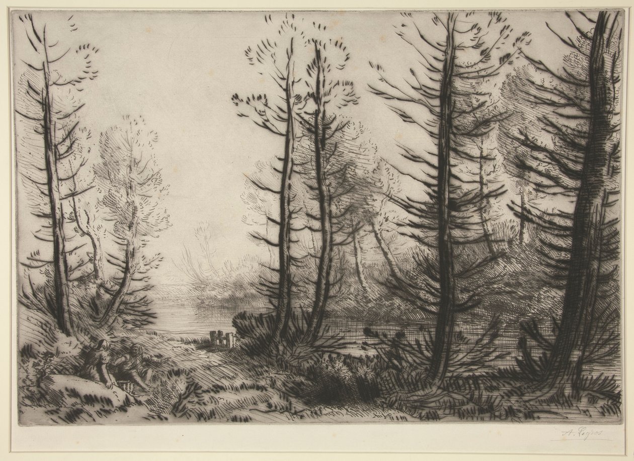 el gran canal de Alphonse Legros