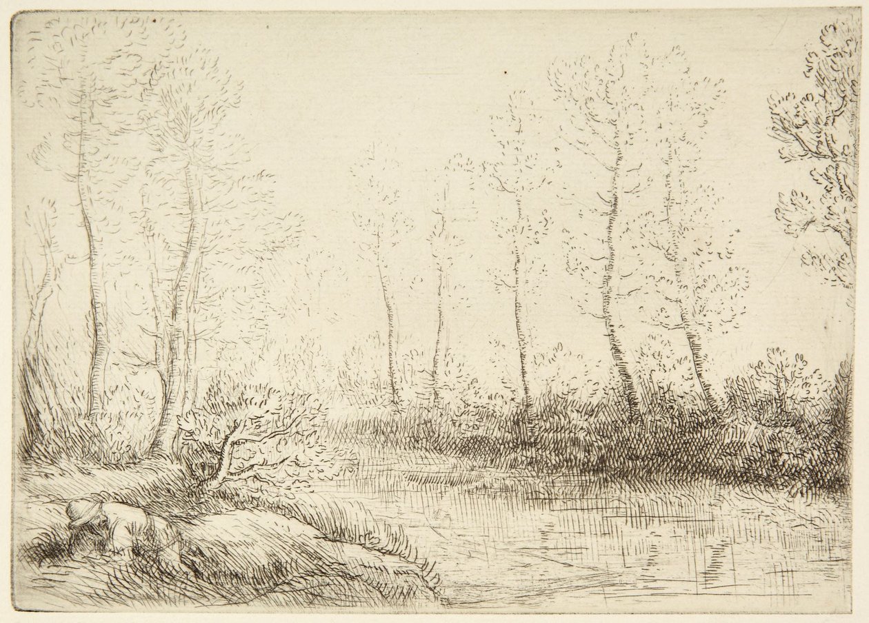 Los abedules de Alphonse Legros