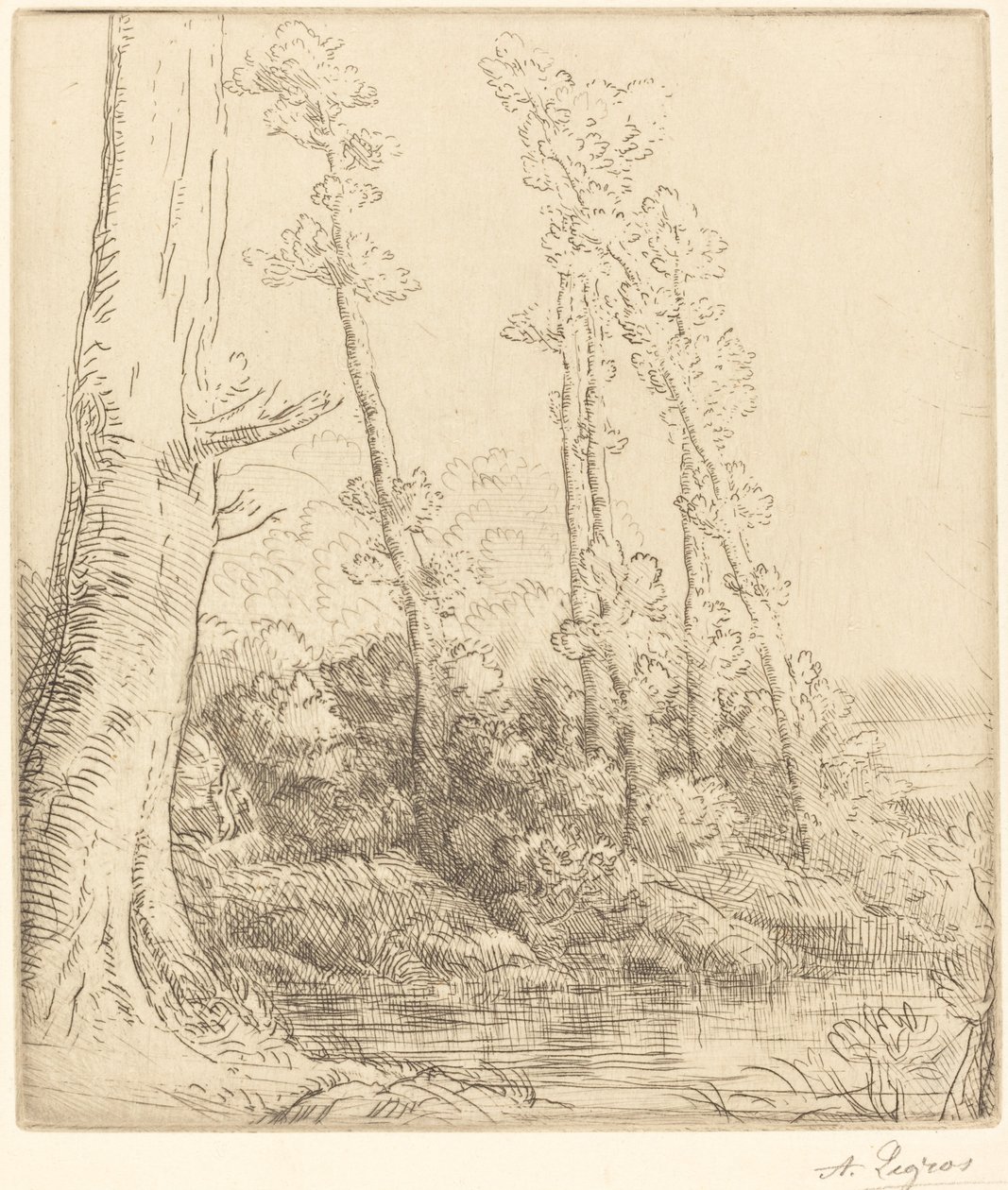 El pequeño estanque de Alphonse Legros