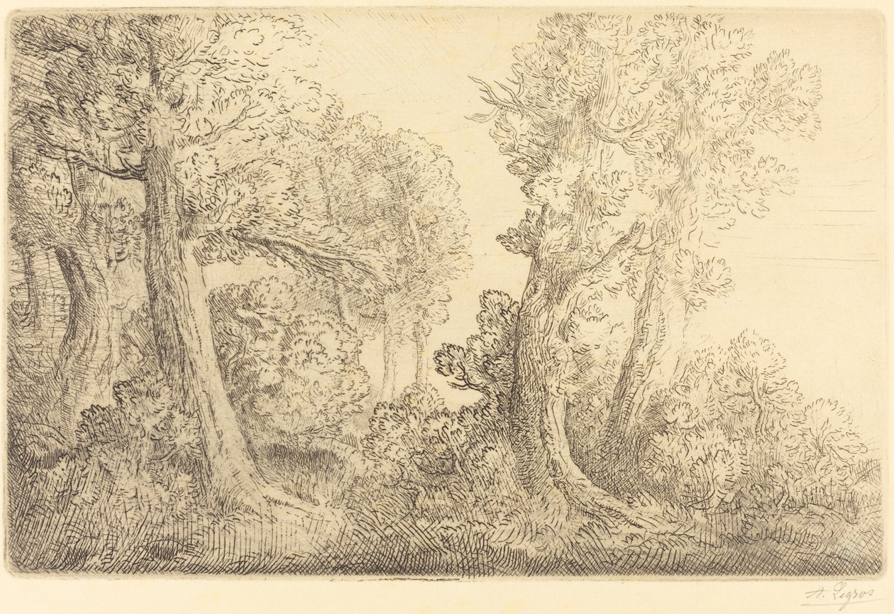 Cerca del bosque, Veronne Pres du bois, Veronne de Alphonse Legros
