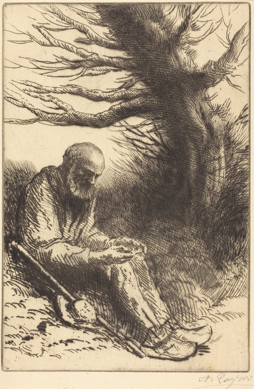 Old man, Old Tree (Anciano, viejo árbol) de Alphonse Legros