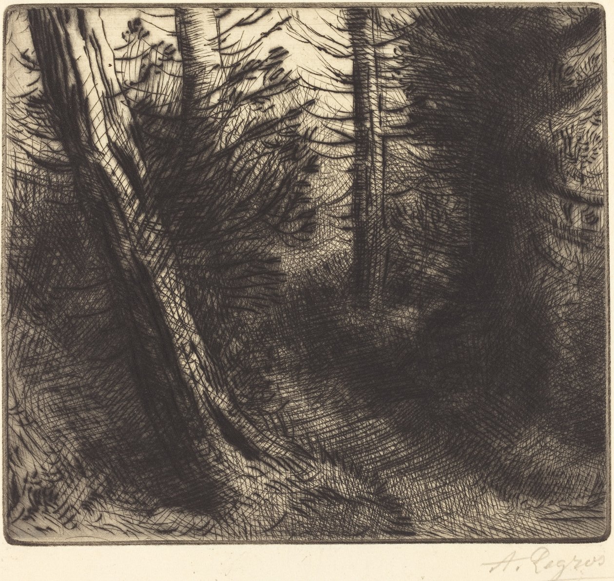 Camino a través del bosque de Alphonse Legros