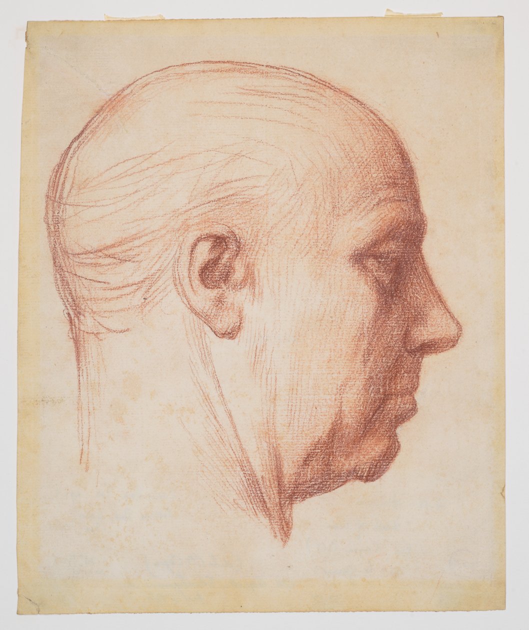 Perfil de un hombre de Alphonse Legros