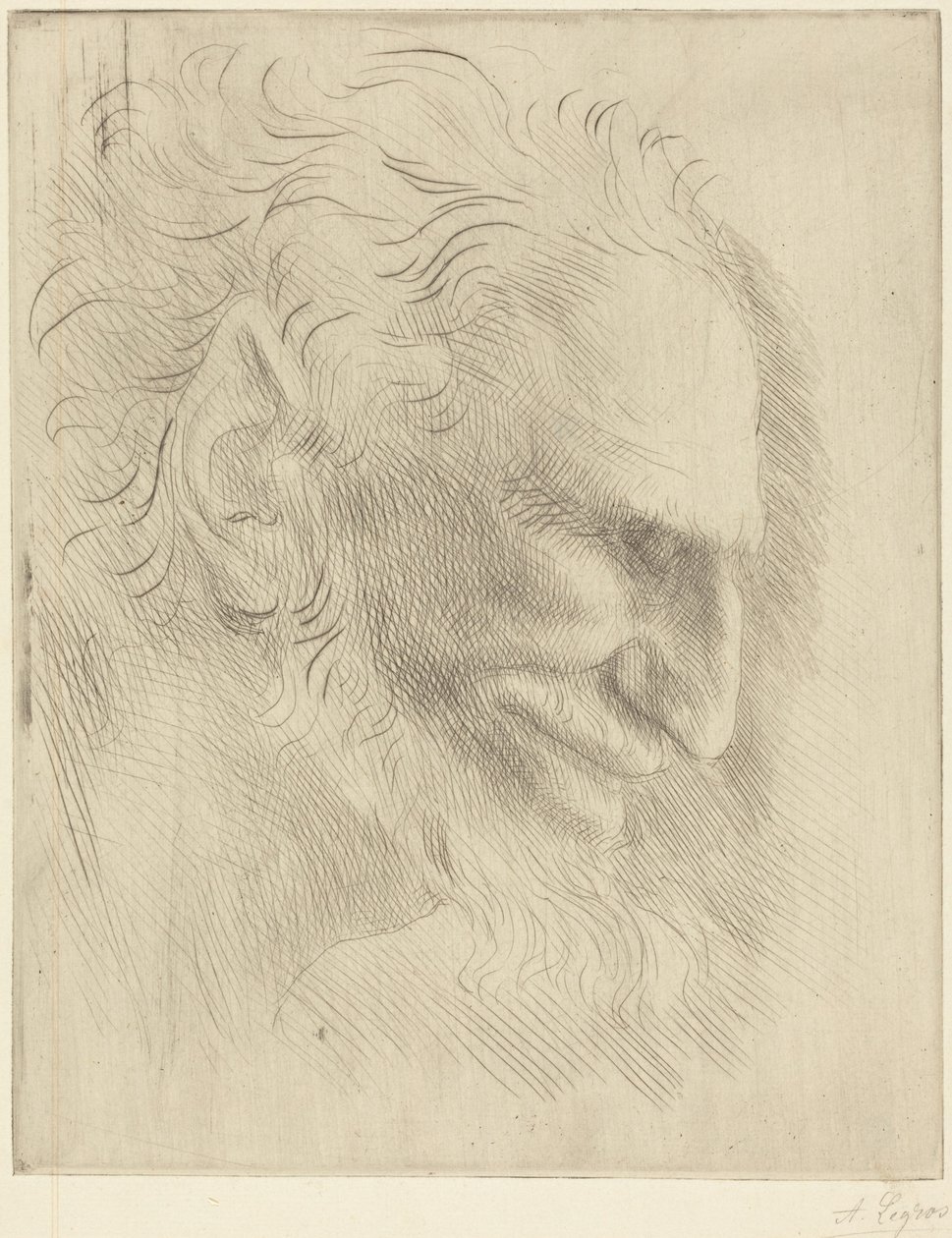 Estudio para la cabeza de un hombre de Alphonse Legros