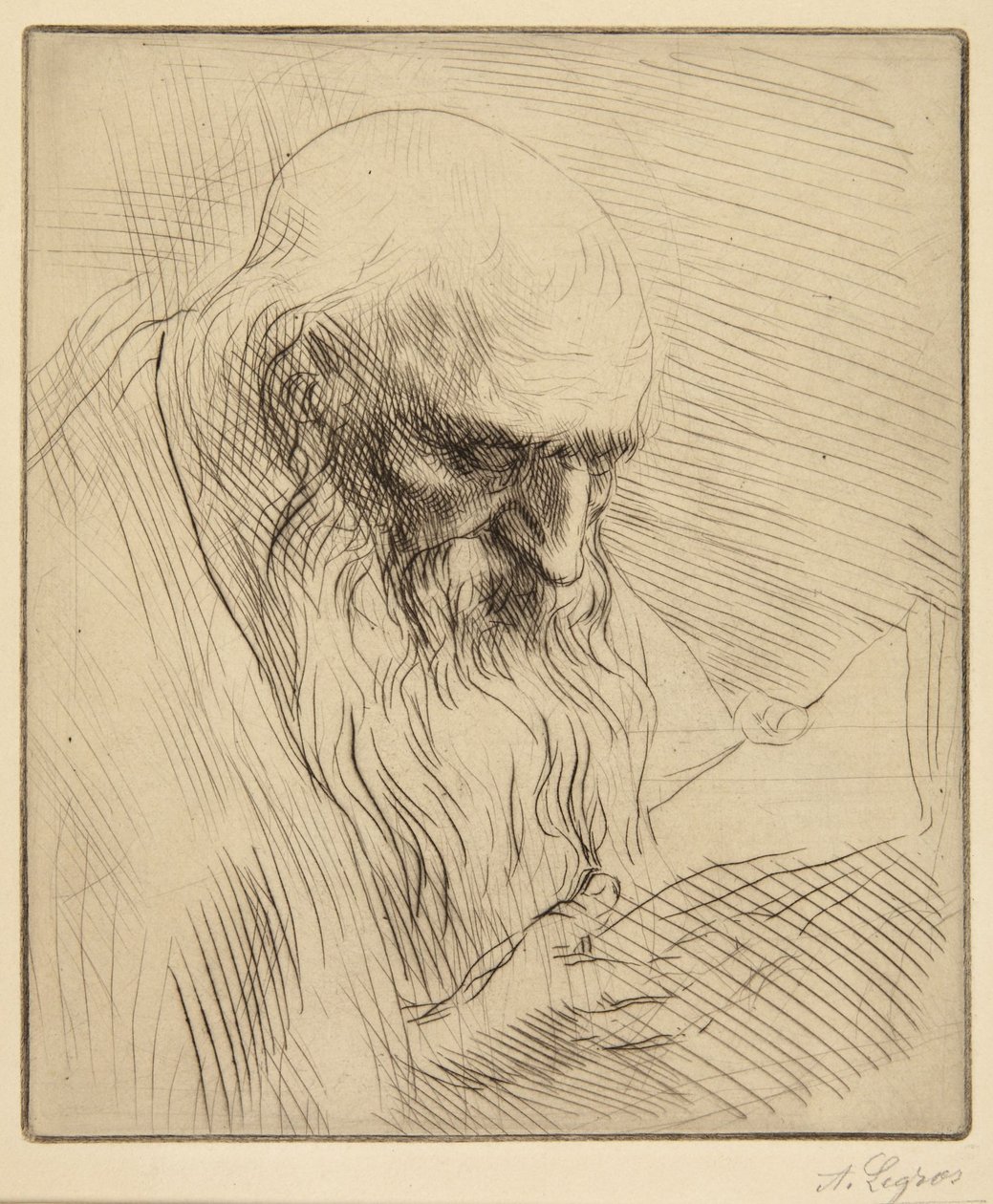 Estudio de un anciano leyendo de Alphonse Legros