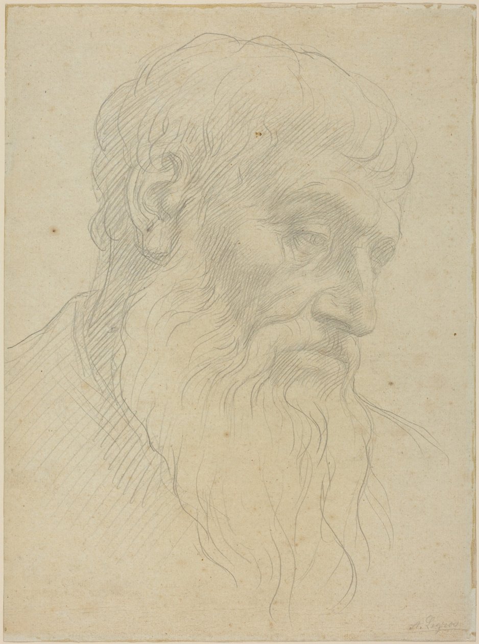 Estudio de una cabeza de Alphonse Legros