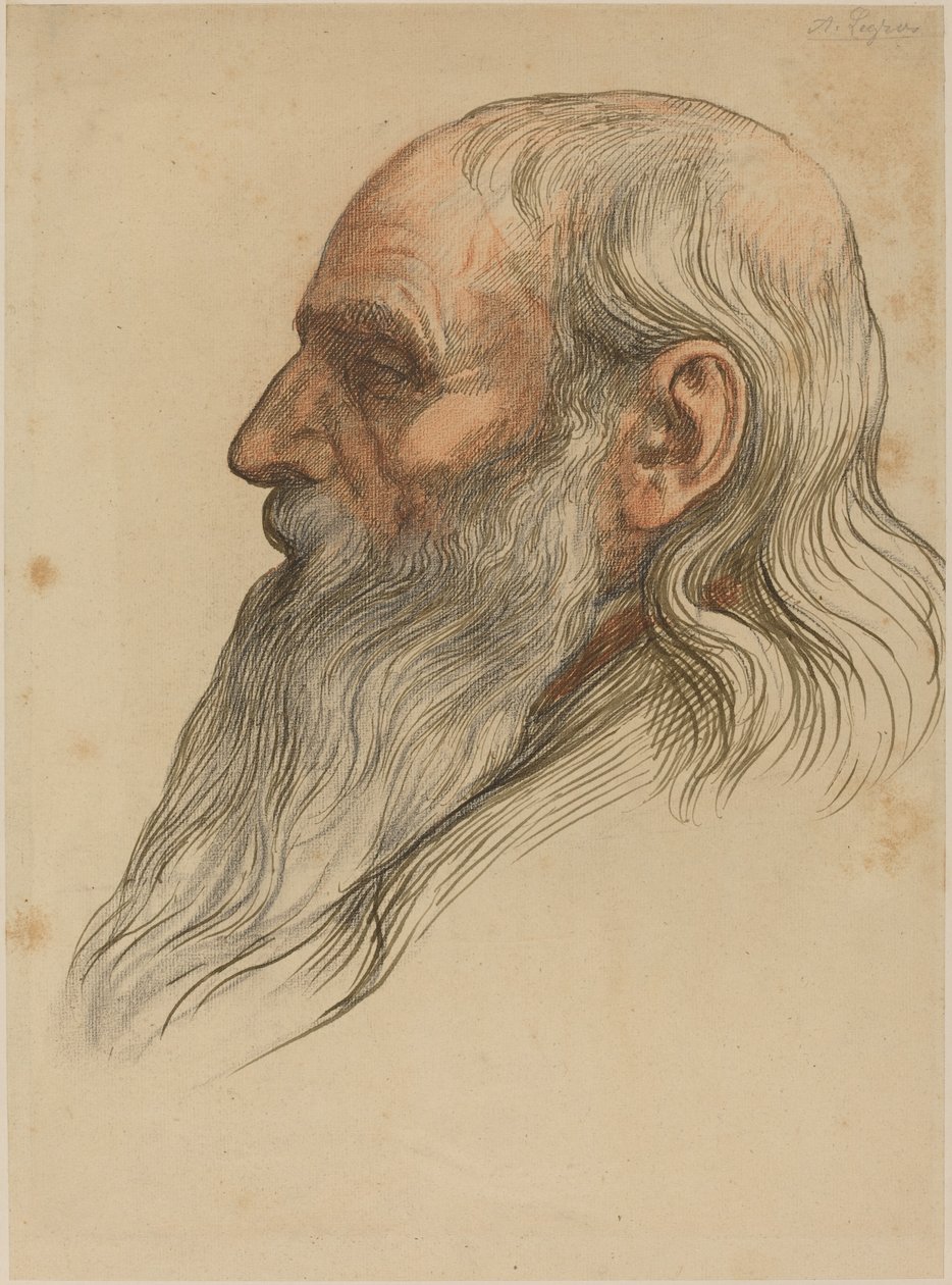 Estudio de la cabeza de un hombre con barba completa de Alphonse Legros