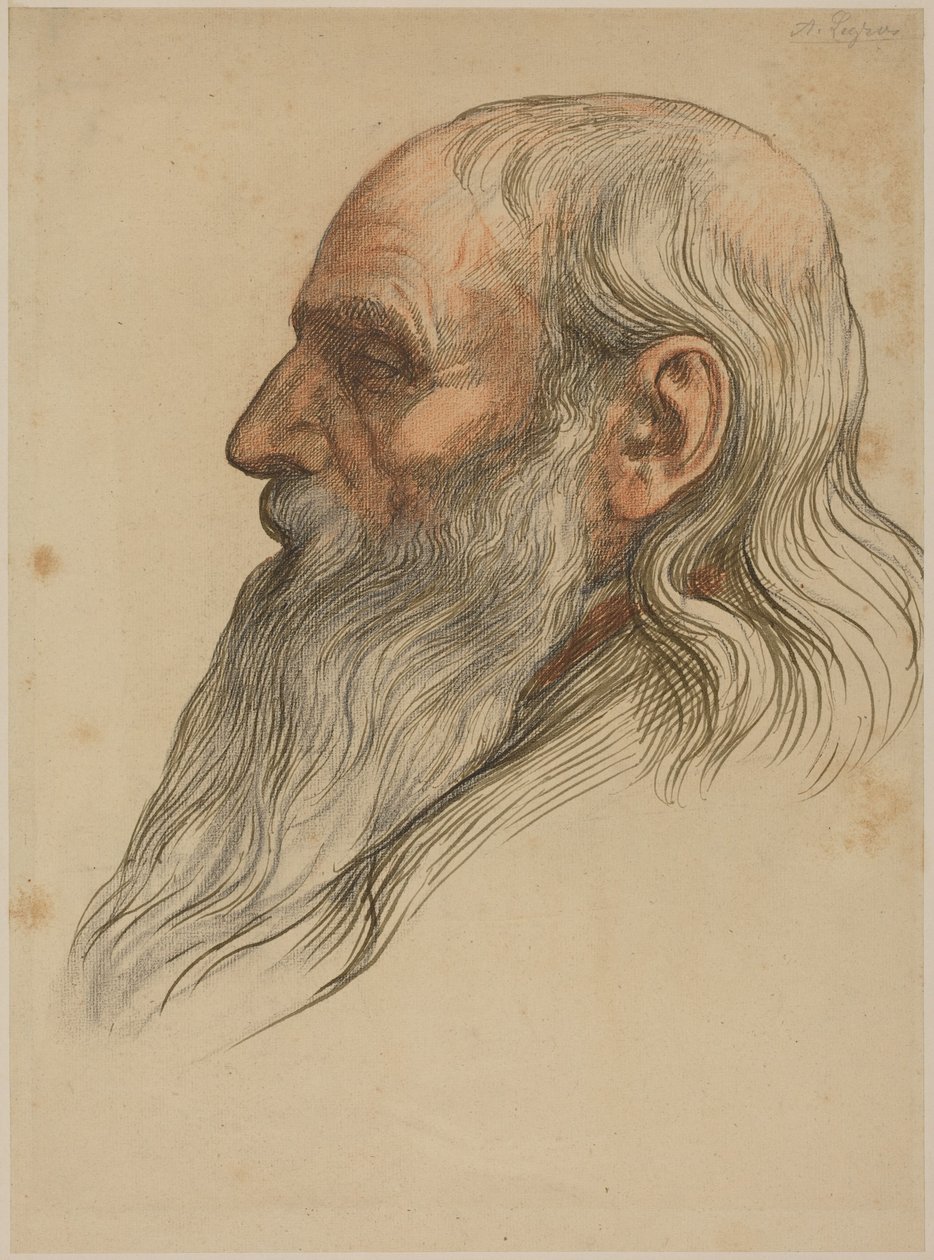 Estudio de la cabeza de un hombre con barba tupida de Alphonse Legros