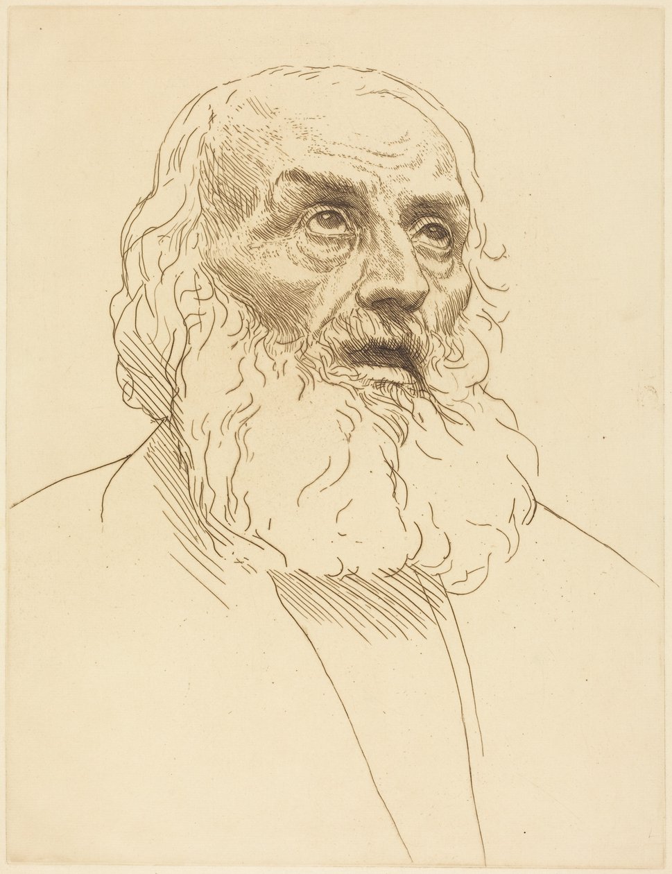 Estudio de un anciano (Etude de vieillard) de Alphonse Legros