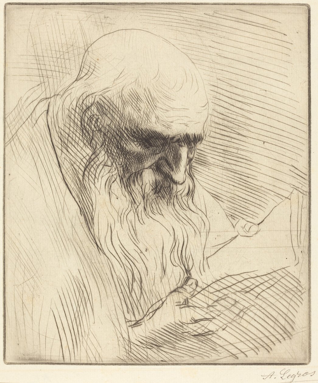 Estudio de la cabeza de un hombre leyendo (Étude de tête d